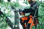 Motoferăstrău Husqvarna T540 XP® II - imagine 3
