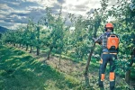 Motoferăstrău Husqvarna 535i XP® (nu include acumulator și încărcător) - imagine 3