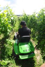 Defrisator iarba ETESIA Attila benzină AK88 XtremeProfesional - imagine 9