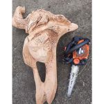 Motoferăstrău ECHO CS-2511TESC/25 CARVING (100% Japan) (cu lama de 25 cm) - imagine 3